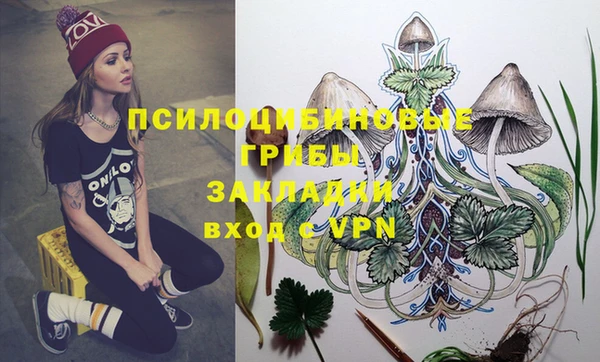 mdpv Няндома